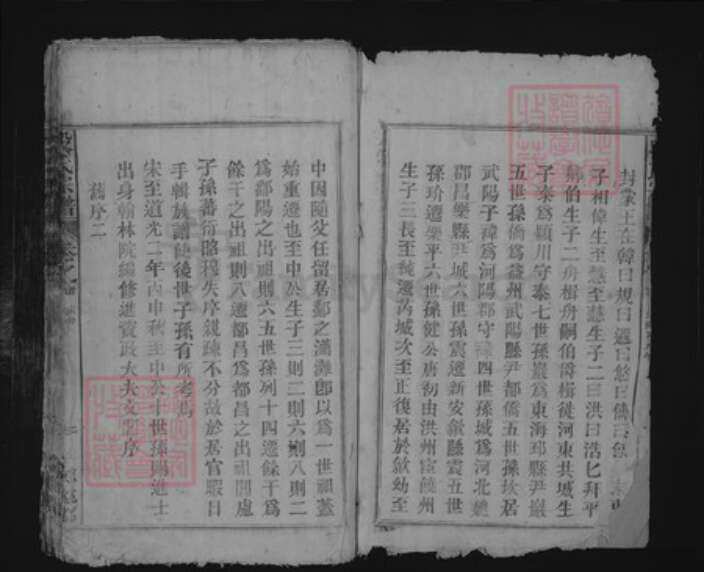 江西省九江市湖口县段氏族谱-段氏宗谱.pdf电子版预览图2