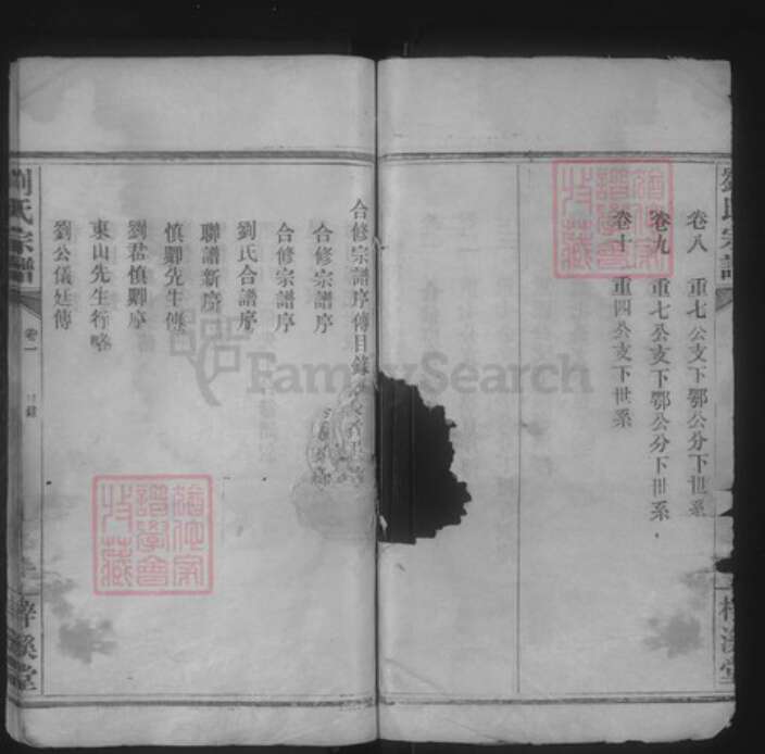 湖北省武汉市武昌区粮道街道刘氏梓溪堂族谱-刘氏宗谱.pdf电子版预览图2