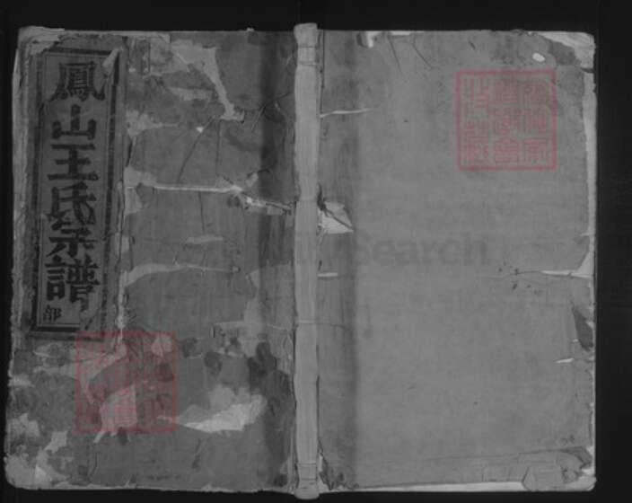 浙江省金华市王氏族谱-凤山王氏宗谱.pdf电子版缩略图