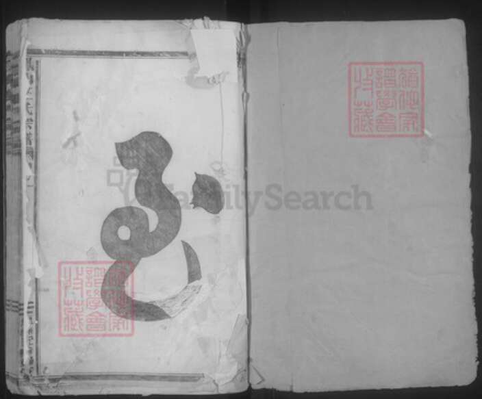 浙江省金华市王氏族谱-凤山王氏宗谱.pdf电子版预览图1