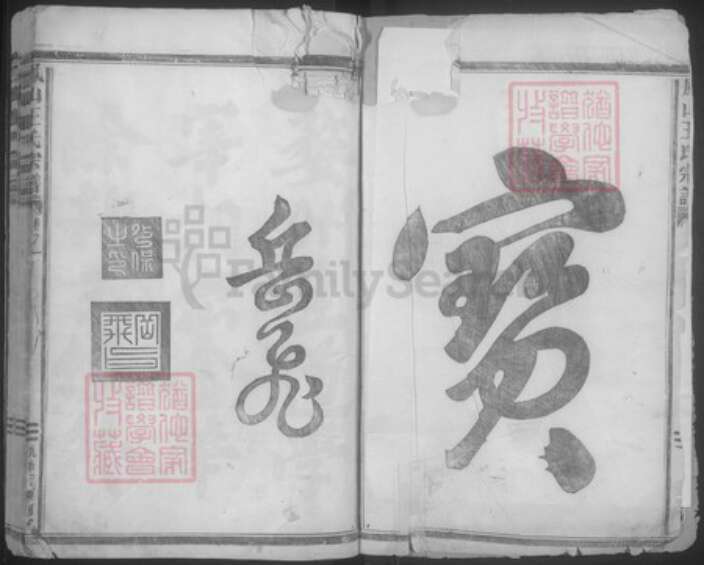 浙江省金华市王氏族谱-凤山王氏宗谱.pdf电子版预览图2