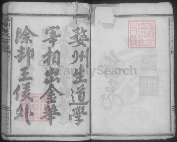 浙江省金华市王氏族谱-凤山王氏宗谱.pdf电子版预览图3