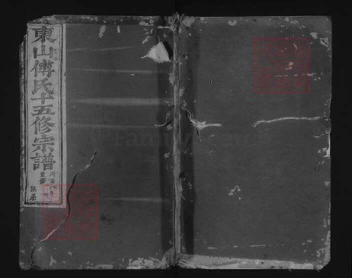 浙江省金华市傅氏族谱-东山傅氏十五修宗谱.pdf电子版缩略图