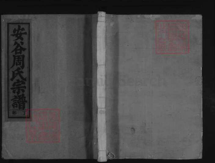 浙江省金华市武义县新宅镇周氏族谱-安谷周氏宗谱.pdf电子版缩略图