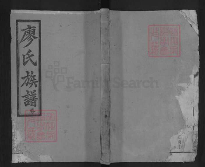 湖南省常德市汉寿县廖氏世彩堂族谱-廖氏四修族谱.pdf电子版缩略图