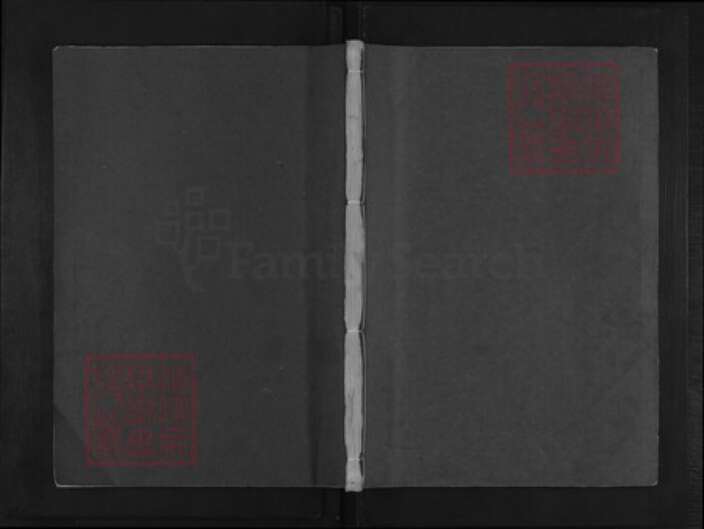 浙江省金华市金东区塘雅镇王氏族谱-金华含香王氏宗谱.pdf电子版缩略图