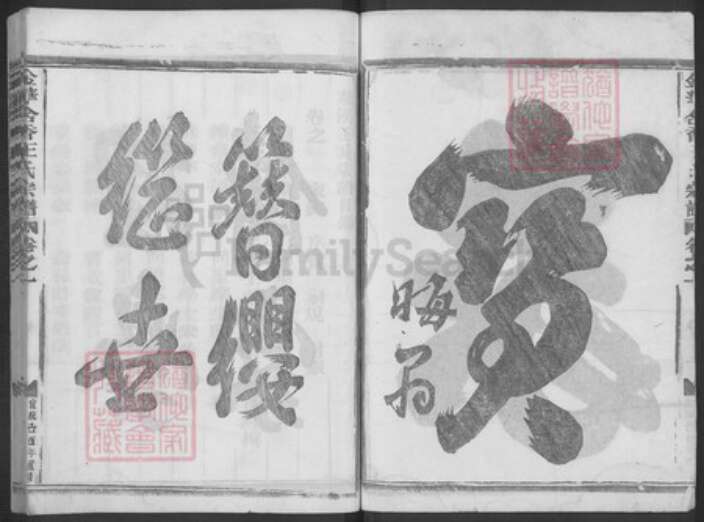 浙江省金华市金东区塘雅镇王氏族谱-金华含香王氏宗谱.pdf电子版预览图2