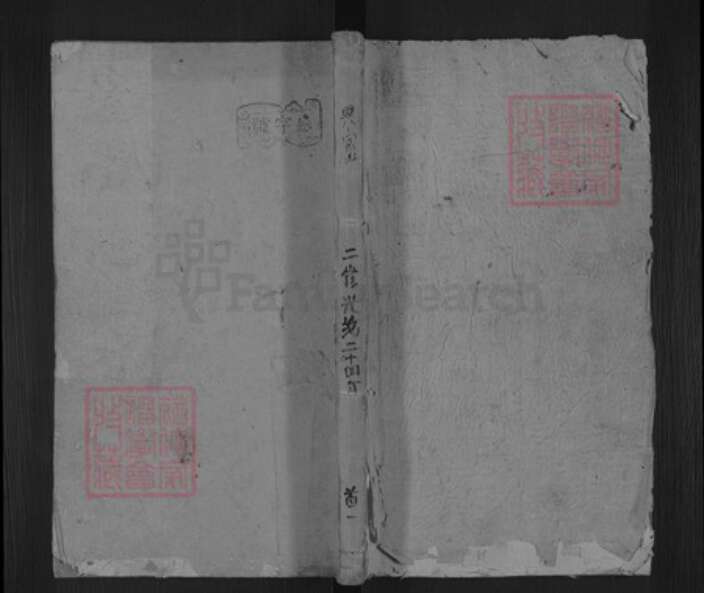 湖南省邵阳市洞口县洞口李氏陇西堂族谱-李氏续修族谱.pdf电子版缩略图