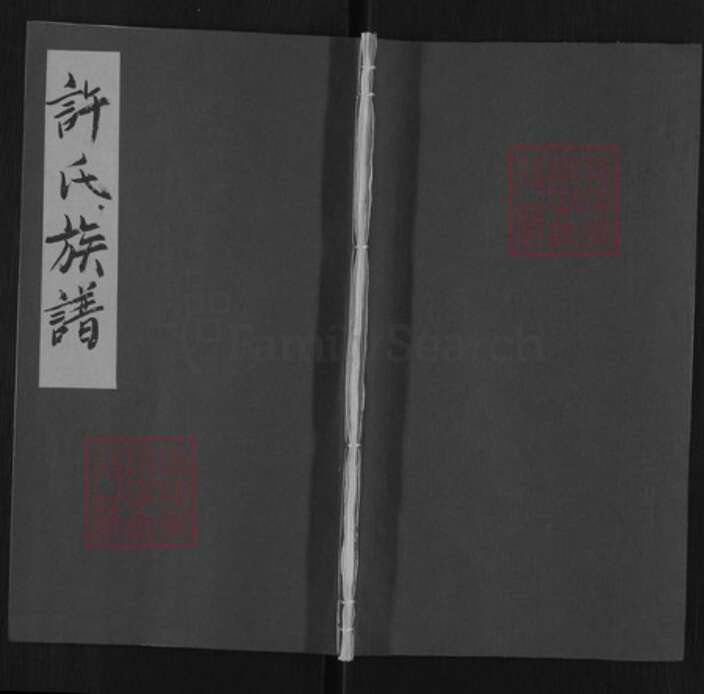 安徽省安庆市桐城市许氏忠孝堂族谱-许氏族谱.pdf电子版缩略图