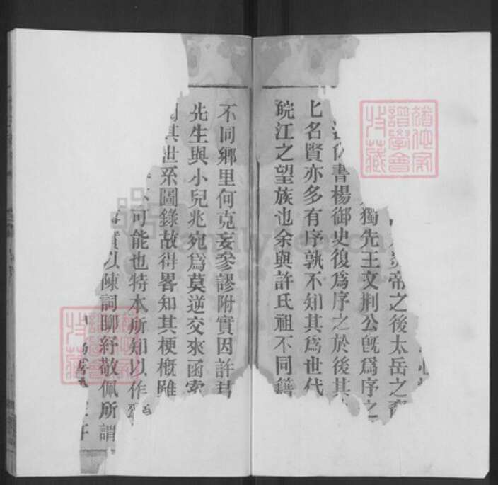 安徽省安庆市桐城市许氏忠孝堂族谱-许氏族谱.pdf电子版预览图2