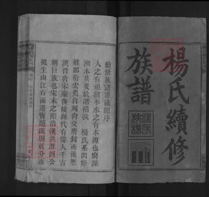 湖南省邵阳市新邵县杨氏清德堂族谱-杨氏续修族谱.pdf电子版预览图1