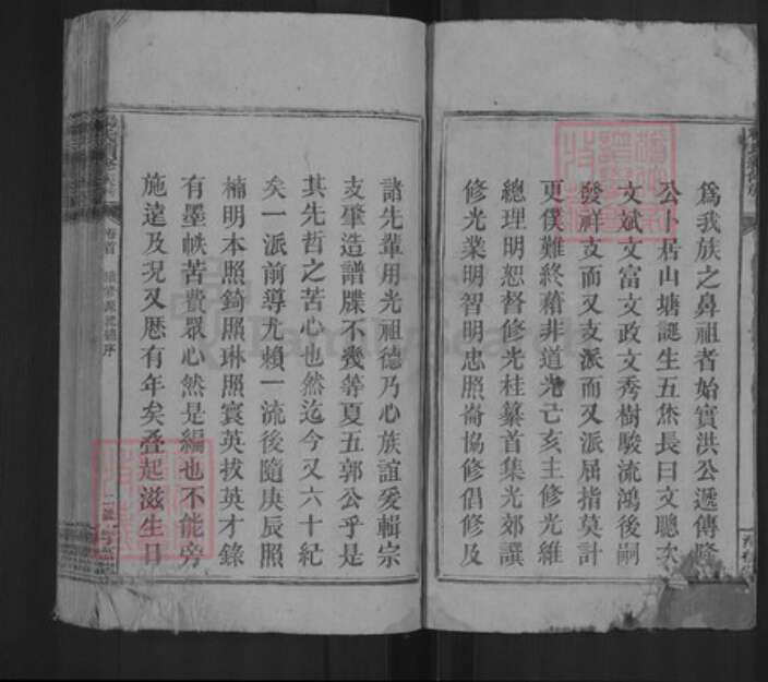 湖南省邵阳市新邵县杨氏清德堂族谱-杨氏续修族谱.pdf电子版预览图2