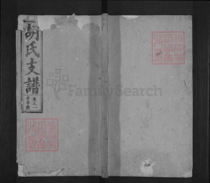 安徽省安庆市桐城市胡氏经麟堂族谱-胡氏支谱.pdf电子版缩略图