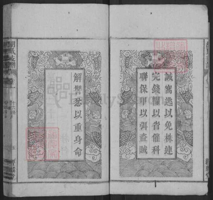 安徽省安庆市桐城市胡氏经麟堂族谱-胡氏支谱.pdf电子版预览图5