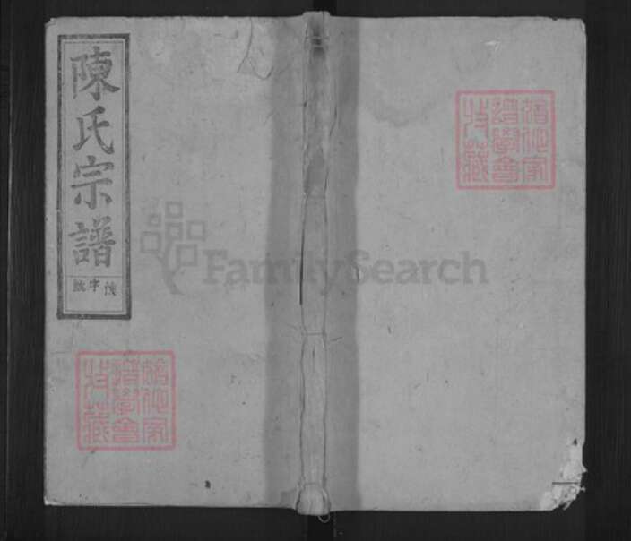 安徽省宿州市泗县草沟镇陈氏聚星堂族谱-陈氏宗谱.pdf电子版缩略图