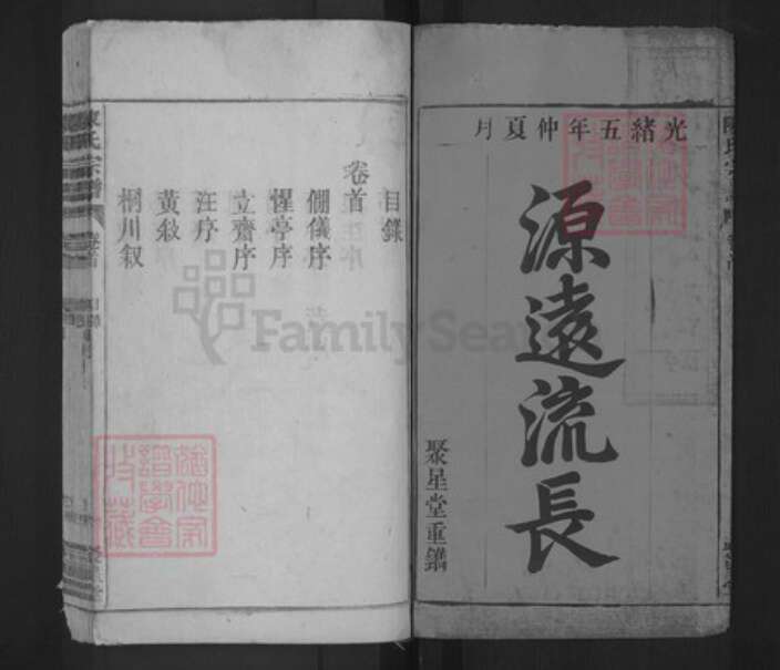 安徽省宿州市泗县草沟镇陈氏聚星堂族谱-陈氏宗谱.pdf电子版预览图1