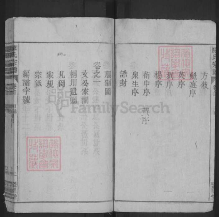 安徽省宿州市泗县草沟镇陈氏聚星堂族谱-陈氏宗谱.pdf电子版预览图2