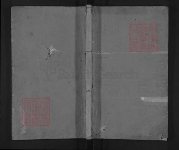 山东省颜氏族谱-颜氏续修通谱.pdf电子版缩略图