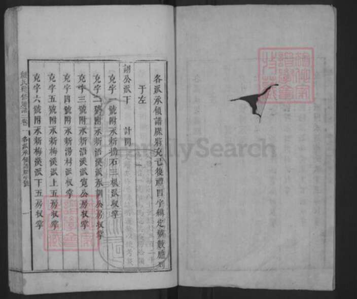 山东省颜氏族谱-颜氏续修通谱.pdf电子版预览图1