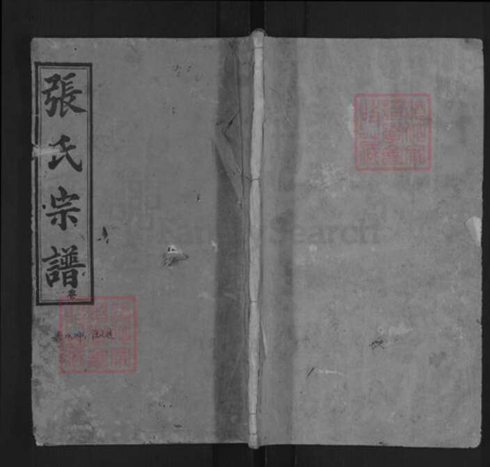 湖北省黄冈市英山县温泉镇张氏金鉴堂族谱-张氏宗谱.pdf电子版缩略图
