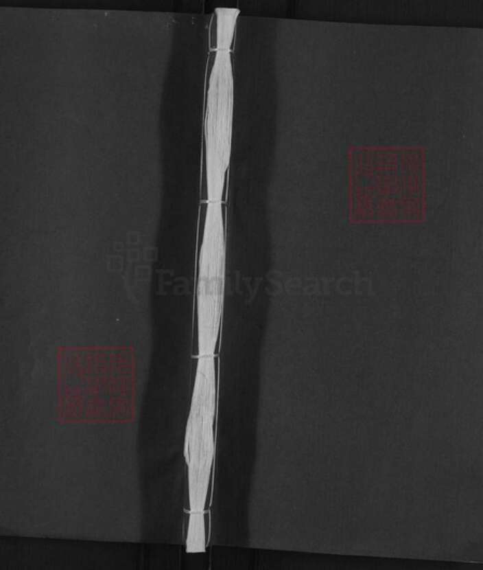 湖南省娄底市双峰县胡氏桑林堂族谱-胡氏续修族谱.pdf电子版缩略图