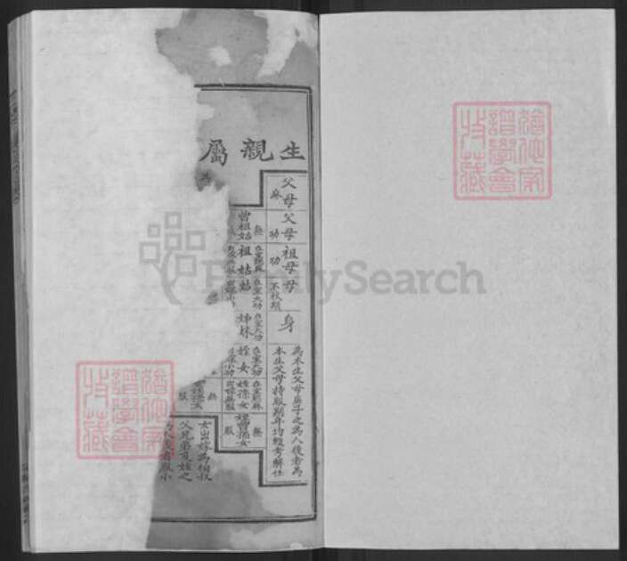 湖南省娄底市双峰县胡氏桑林堂族谱-胡氏续修族谱.pdf电子版预览图1