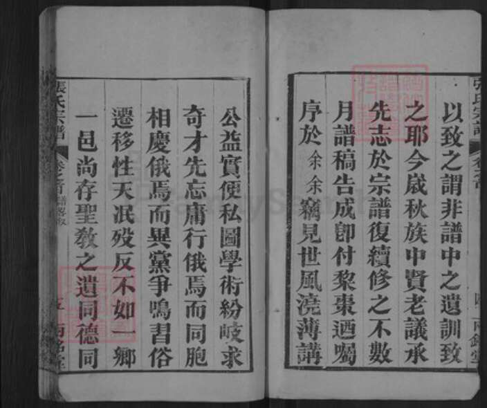 湖北省黄冈市麻城市张氏两铭堂族谱-张氏宗谱.pdf电子版预览图5