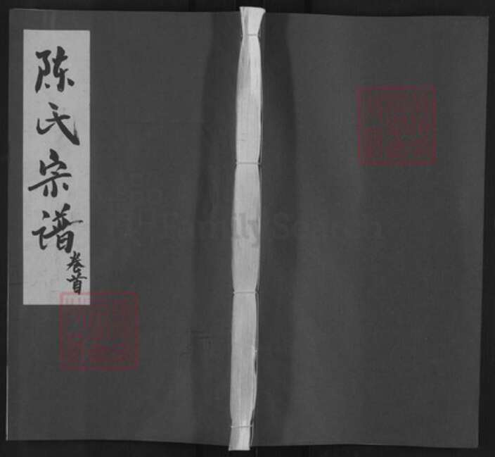 安徽省安庆市怀宁县陈氏聚星堂族谱-陈氏宗谱.pdf电子版缩略图