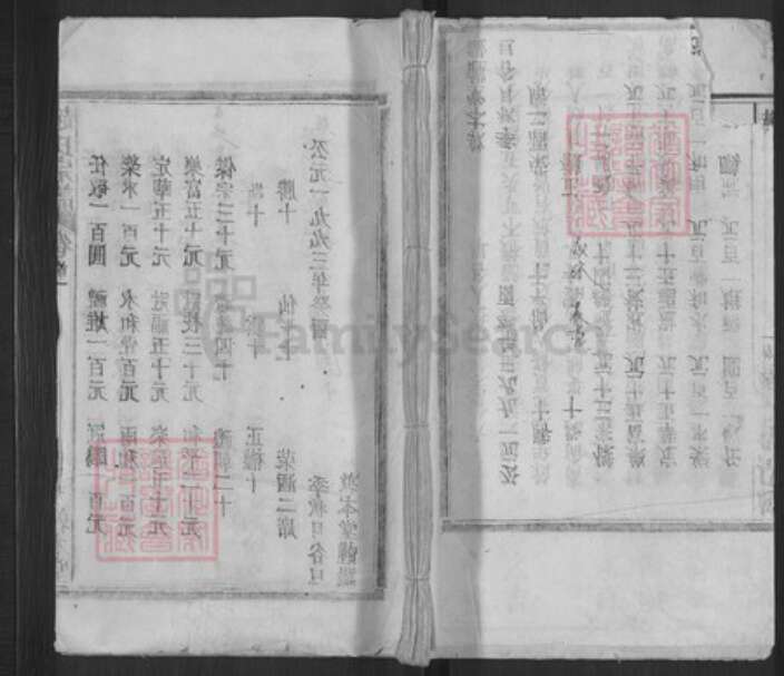 湖北省黄冈市蕲春县赵氏敦本堂族谱-赵氏宗谱.pdf电子版缩略图