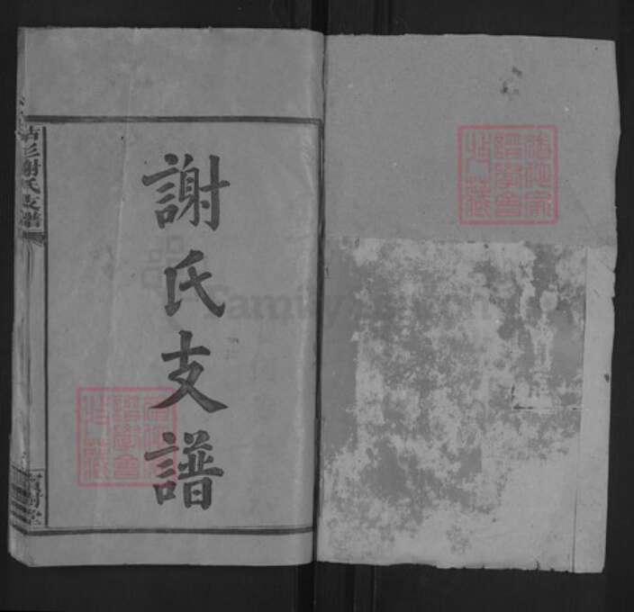 湖南省益阳市谢氏宝树堂族谱-枯杉谢氏支谱.pdf电子版预览图1