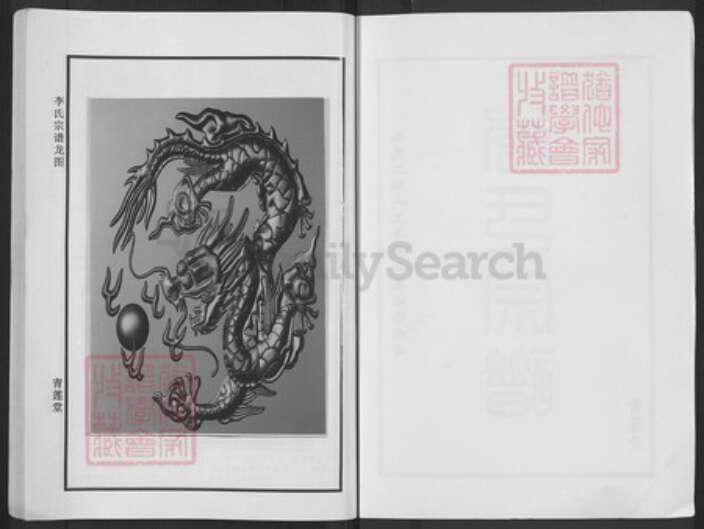 湖北省黄冈市武穴市李氏青莲堂族谱-李氏宗谱.pdf电子版预览图2