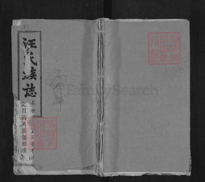 湖北省黄冈市罗田县汪氏孝友堂族谱-汪氏族志.pdf电子版缩略图