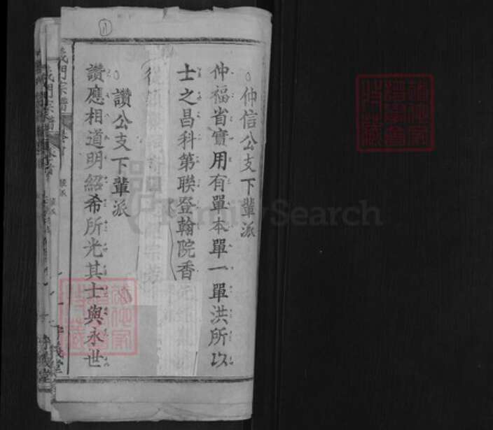 湖北省黄冈市浠水县关口镇陈氏守义堂族谱-陈氏宗谱.pdf电子版预览图1
