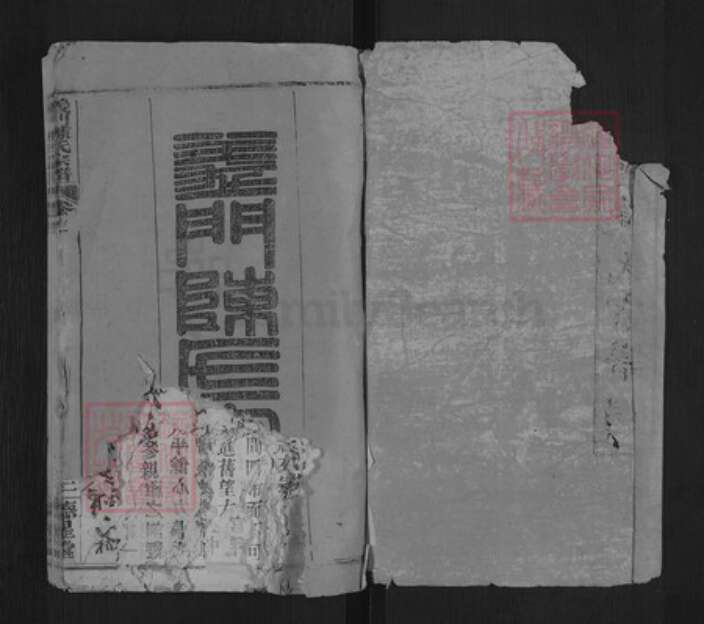 湖北省黄冈市武穴市陈氏德心堂族谱-义门陈氏宗谱.pdf电子版预览图1