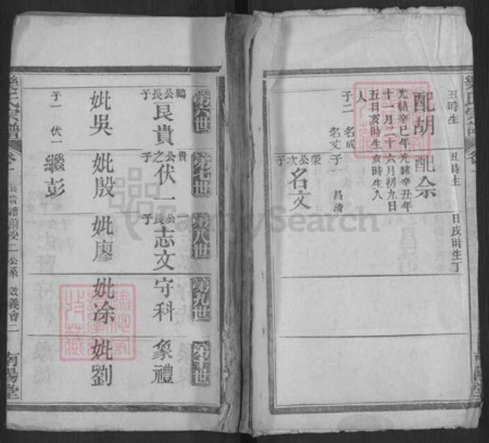 福建省三明市宁化县城南镇谢氏族谱-东留郡文禄公房谱.pdf电子版缩略图