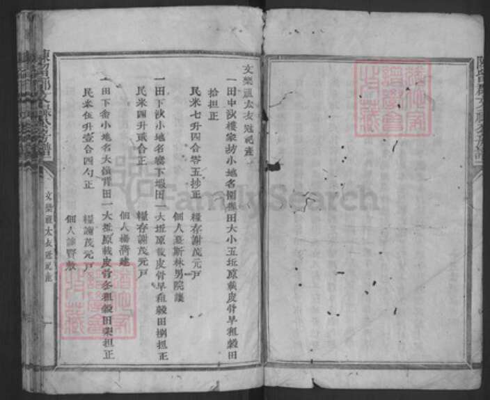 福建省三明市宁化县城南镇谢氏族谱-东留郡文禄公房谱.pdf电子版预览图3