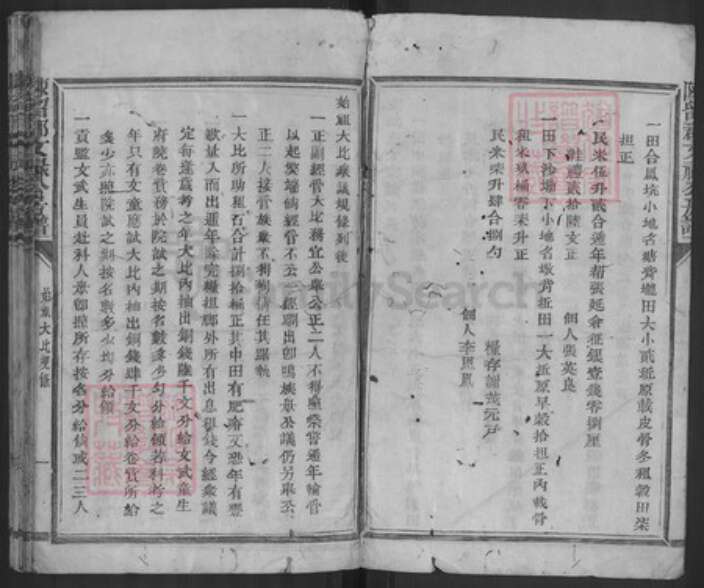 福建省三明市宁化县城南镇谢氏族谱-东留郡文禄公房谱.pdf电子版预览图4