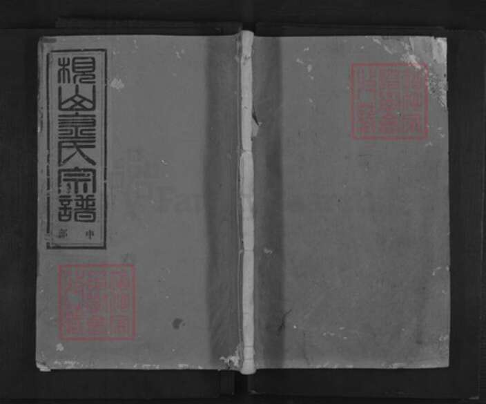 浙江省金华市金氏族谱-金华枧山金氏宗谱.pdf电子版缩略图