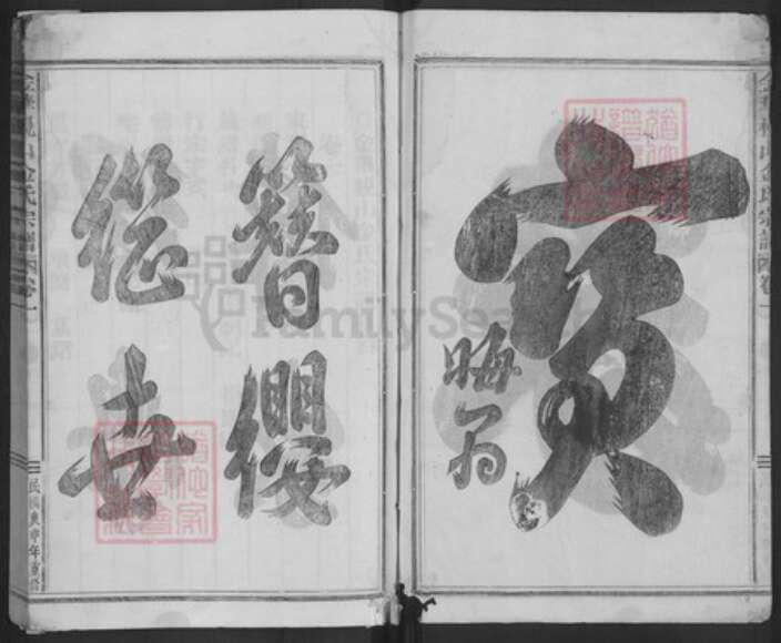 浙江省金华市金氏族谱-金华枧山金氏宗谱.pdf电子版预览图2