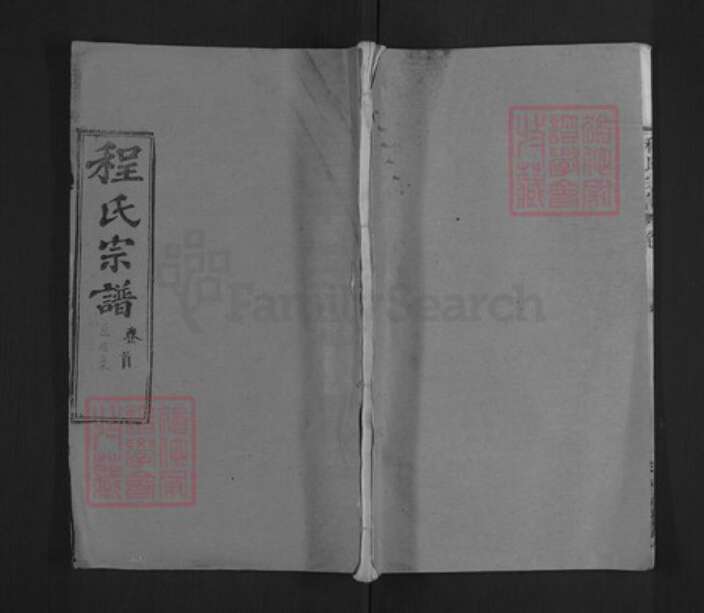 湖北省黄冈市红安县程氏理学堂族谱-程氏宗谱.pdf电子版缩略图