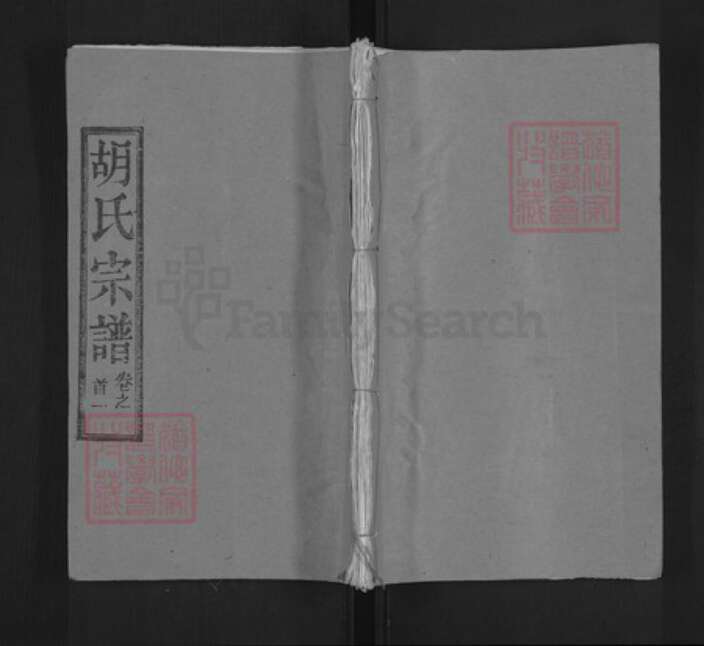 湖北省黄冈市罗田县胡氏安定堂族谱-胡氏宗谱.pdf电子版缩略图