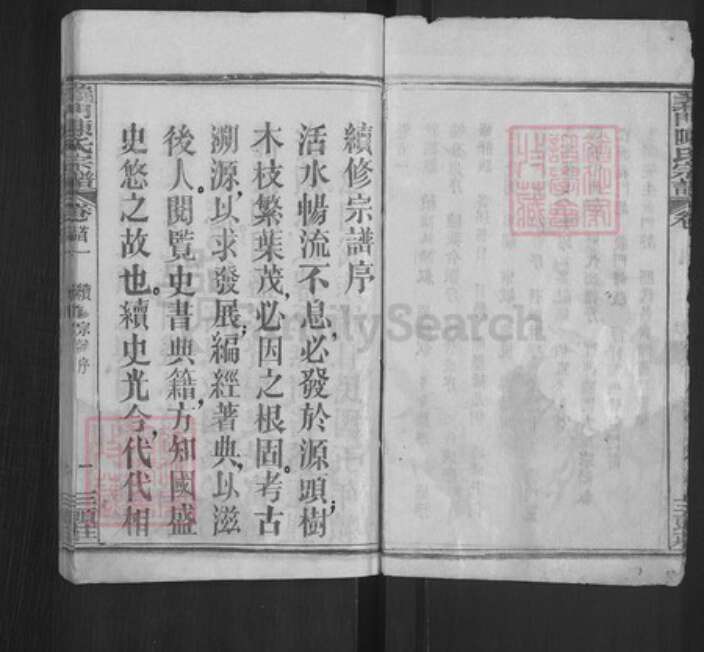 湖北省黄冈市红安县陈氏族谱-义门陈氏宗谱.pdf电子版预览图3