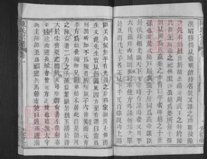 湖北省武汉市新洲区陈氏光裕堂族谱-陈氏宗谱.pdf电子版预览图2