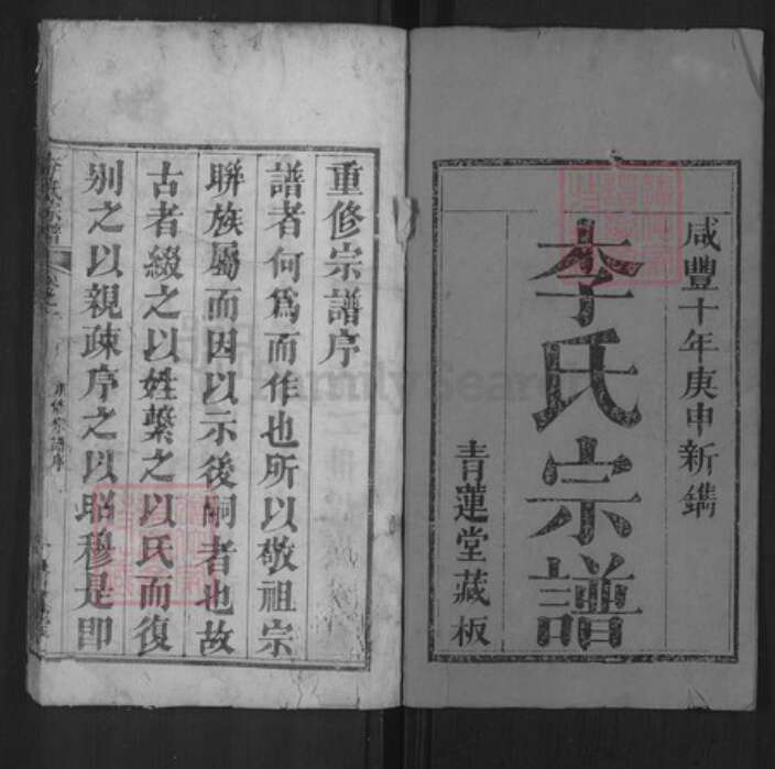 湖北省黄冈市红安县杏花乡李氏青莲堂族谱-李氏宗谱.pdf电子版预览图1