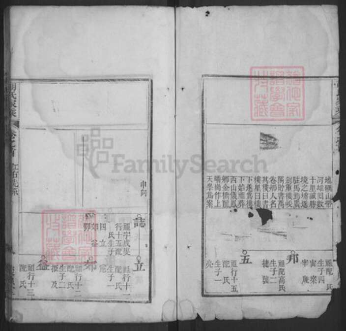 湖北省黄冈市浠水县巴河镇胡氏聚顺堂族谱-胡氏家乘.pdf电子版预览图2