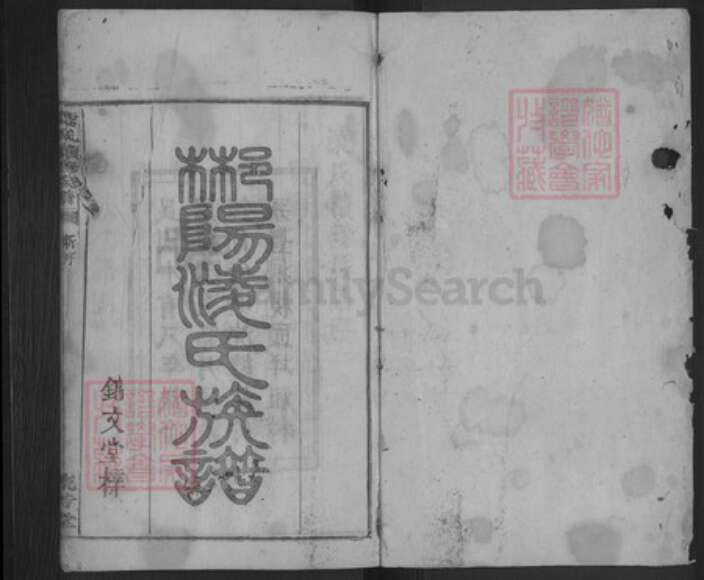 湖南省郴州市汝城县土桥镇凌氏流芳堂族谱-凌氏续修族谱.pdf电子版预览图1