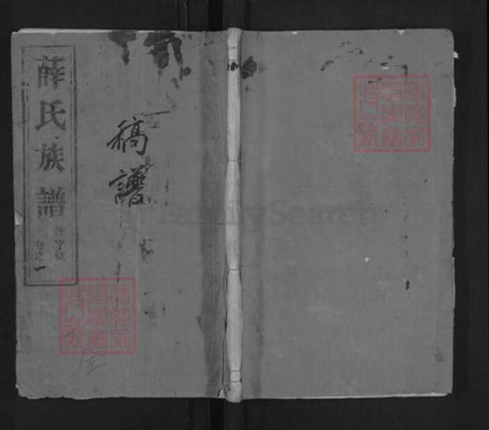江苏省扬州市江都区薛氏族谱-薛氏宗谱.pdf电子版缩略图