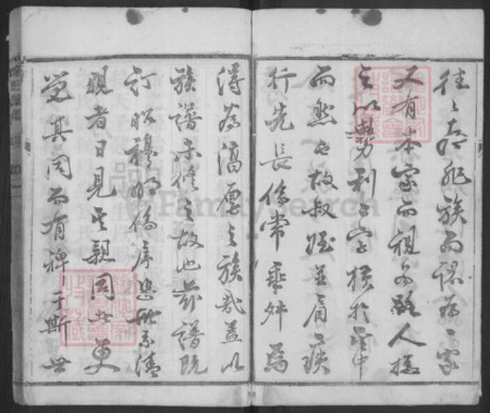 江苏省扬州市江都区薛氏族谱-薛氏宗谱.pdf电子版预览图4