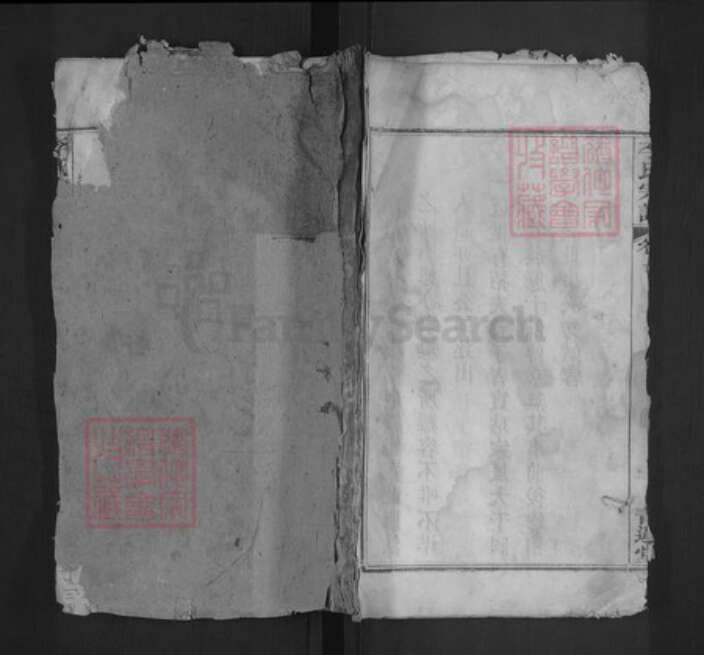 湖北省武汉市江夏区李氏青莲堂族谱-李氏宗谱.pdf电子版缩略图