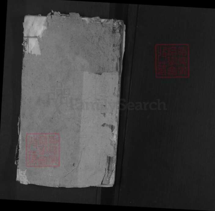 湖北省武汉市江夏区李氏青莲堂族谱-李氏宗谱.pdf电子版预览图1